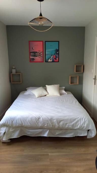 Les Marronniers Appartement Centre Saumur Bord De Loire 외부 사진